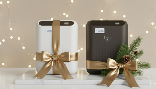 Wall Mounted Diffuser